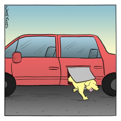 Car Dog Flap.