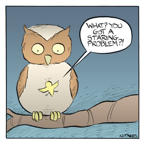 'What? You got a staring problem?!'