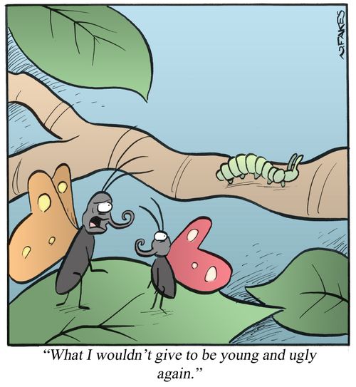 'What I wouldn't give to be young and ugly again.'