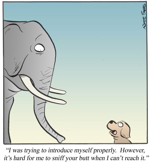 'I was trying to introduce myself properly. However, it's hard for me to sniff your butt when I can't reach it.'