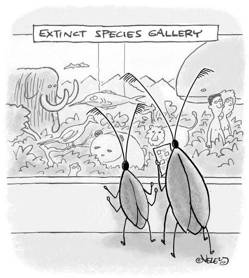 Extinct Species Gallery of the Future?