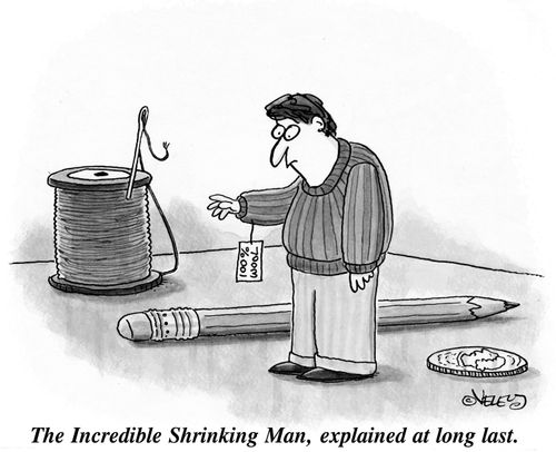 The Incredible Shrinking Man, explained at long last.