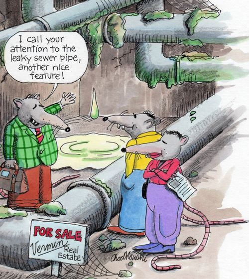 "I call your attention to leaky sewer pipe, another nice feature!"