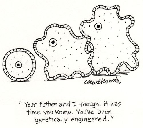 "Your father and I thought it was time you knew. You've been genetically engineered."