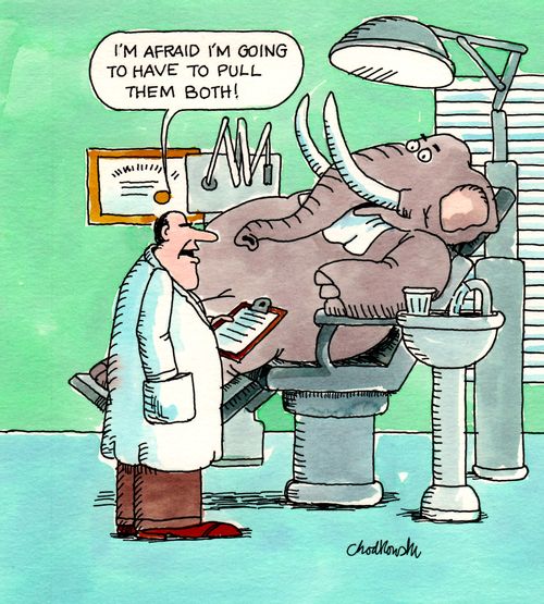 "I'm afraid I'm going to have to pull them both!"