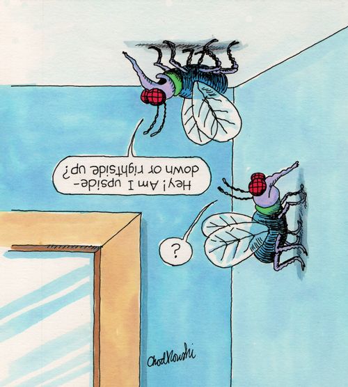 "Hey! Am I upside - down or rightside up?"