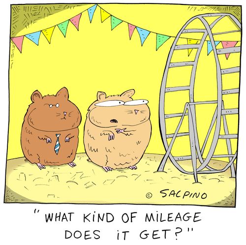 "What kind of mileage does it get?"