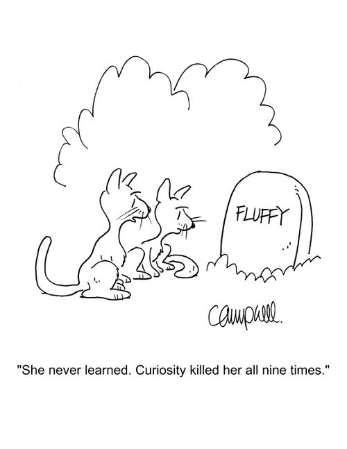 "She never learned. Curiosity killed her all nine times."