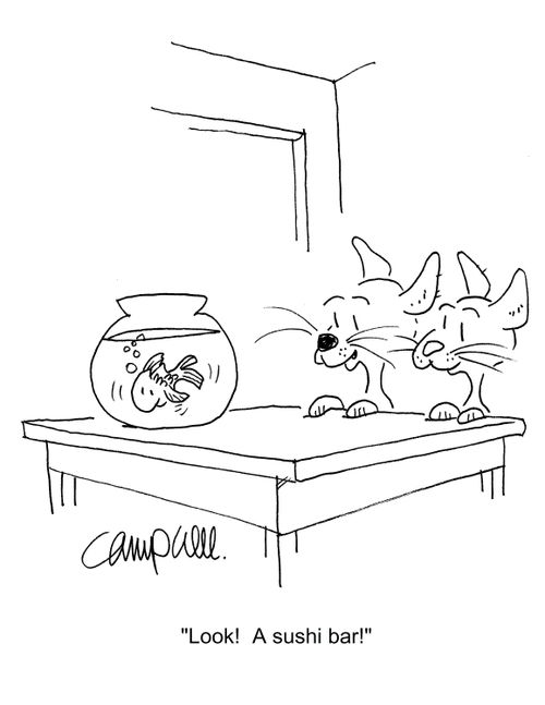 "Look! A sushi bar!"