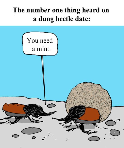 "You need a mint."
