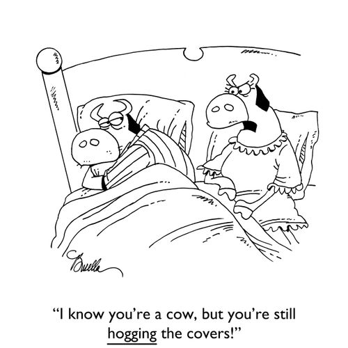 "I know you're a cow, but you're still hogging the covers!"