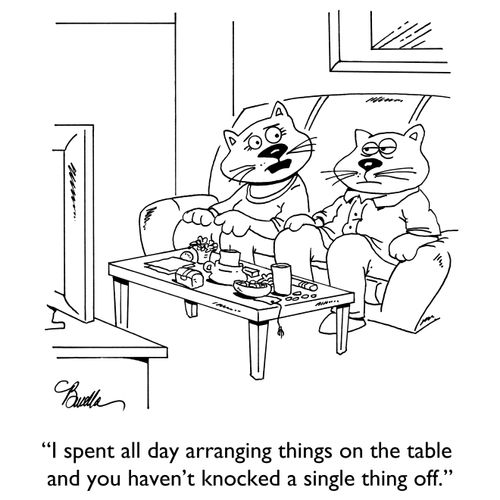 "I spend all day arranging things on the table and you haven't knocked a single thing off."