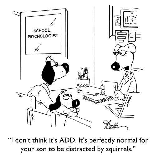 "I don't think it's ADD. It's perfectlt normal for your son to be distracted by squirrels."