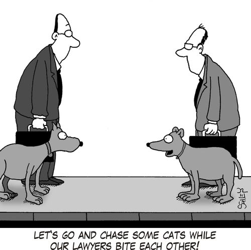 'Let's go and chase some cats while our lawyers bite each other!'