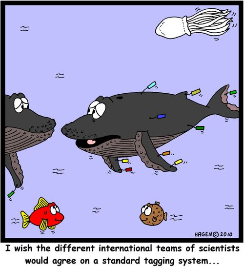 'I wish the different international teams of scientists would agree on a standard tagging system...'