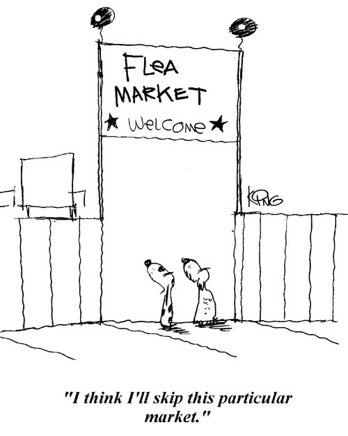 'I think I'll skip this particular market.'
