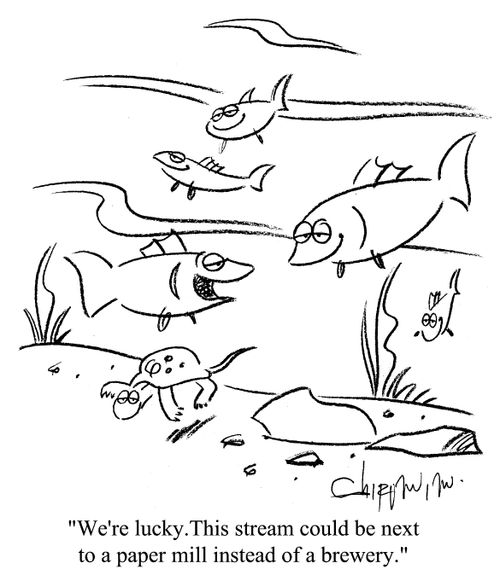 'We're lucky. This stream could be next to a paper mill instead of a brewery.'