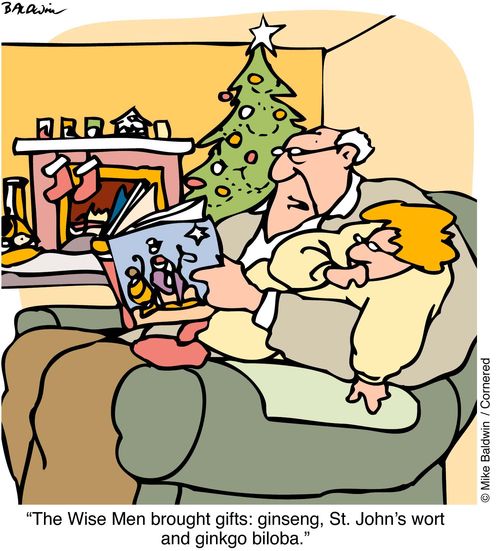 "The Wise Men brought gifts: ginseng, St John's and ginkgo biloba"