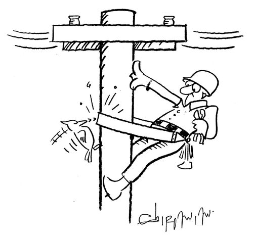 Woodpecker threatening to drop a worker up a pole.