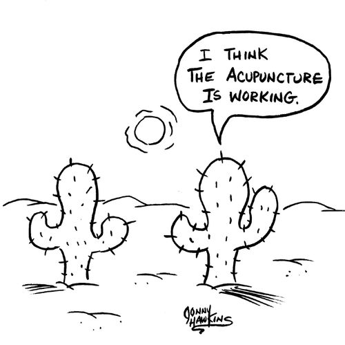 Cactus says to other cactus: 'I think the acupuncture is working.'