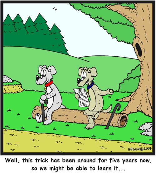 'Well, this trick has been around for five years now, so we might be able to learn it...'