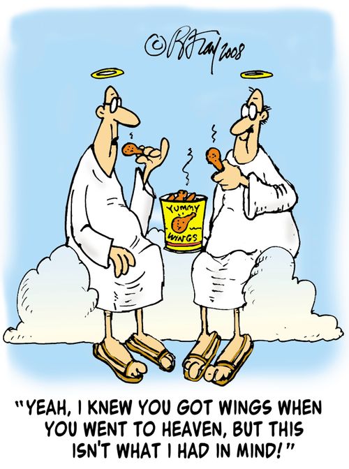 'Yeah, I knew you got wings when you went to heaven, but this isn't what I had in mind!'
