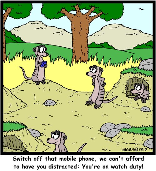 'Switch off that mobile phone, we can't afford to have you distracted: You're on watch duty!'
