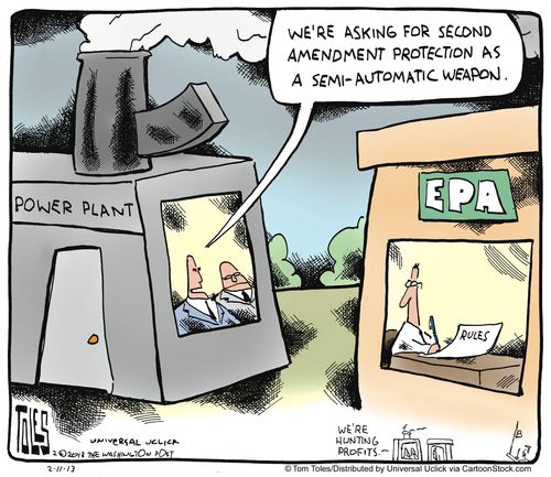 'We're asking for second amendment protection as a semi-automatic weapon.'