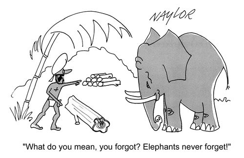 'What do you mean, you forgot? Elephants never forget!'