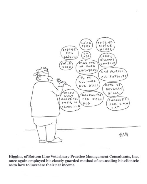 Veterinary Management Practice Consultants