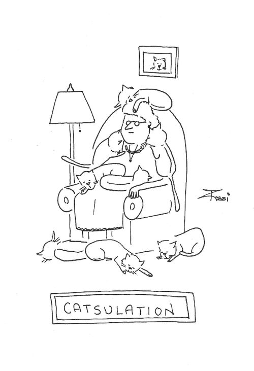 Catsulation