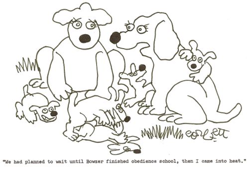 'We had planned to wait until Bowzer finished obedience school, then I came into heat.'