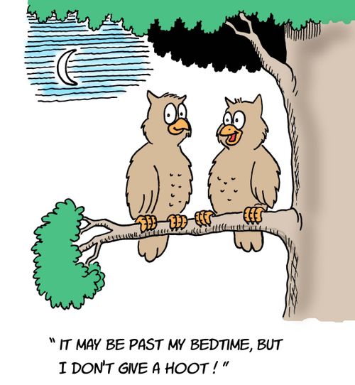 "It may be past my bedtime, but I don't give a hoot!"