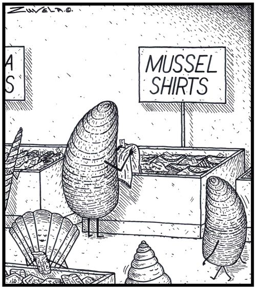 A Mussel is checking out some shirts for Mussels