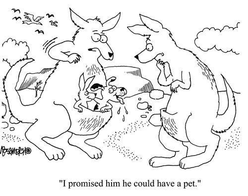 'I promised him he could have a pet.'