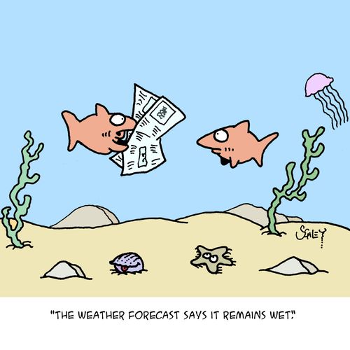 'The weather forecast says it remains wet.'