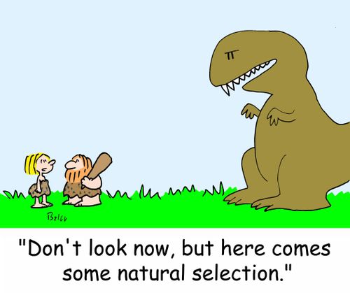 'Don't look now, but here comes some natural selection.'