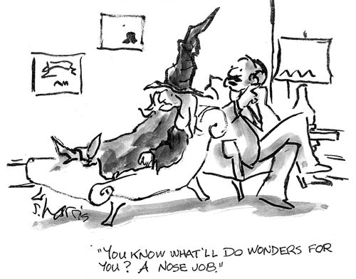 'You know what'll do wonders for you?  A nose job.'