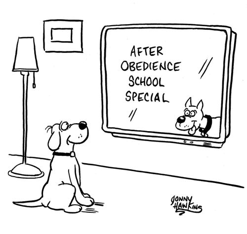 Dog watching show called, 'After Obedience School Special'