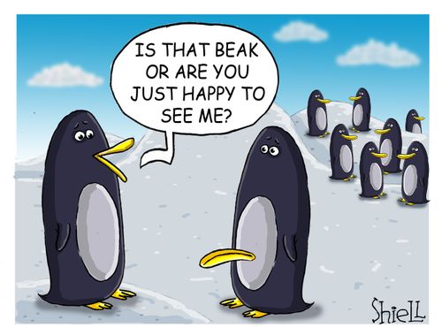 'Is that beak or are you just happy to see me?'