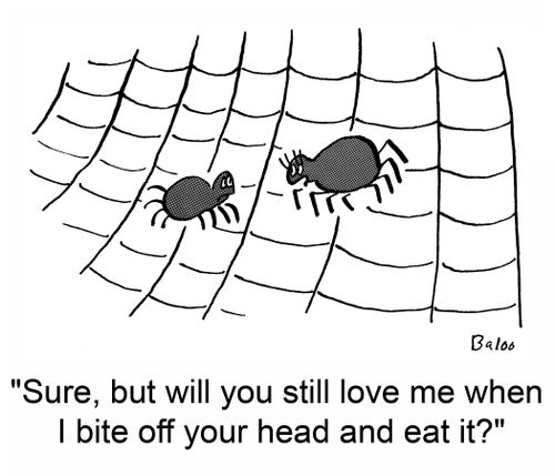 'Sure, but will you still love me when I bite off your head and eat it?'