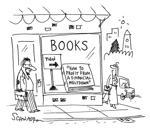 'How to profit from a financial meltdown.'