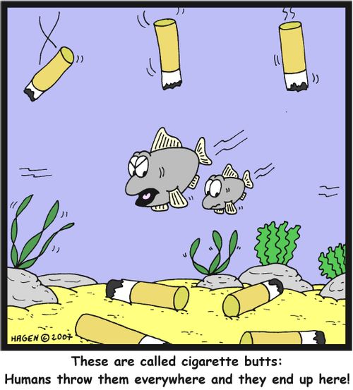 'These are called cigarette butts: Humans throw them everywhere and they end up here!'