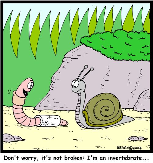 'Don't worry, it's not broken: I'm an invertebrate...'