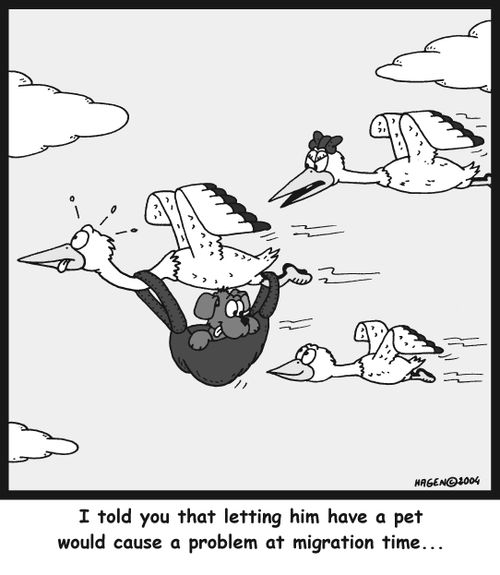 'I told you that letting him have a pet would cause a problem at migration time...'