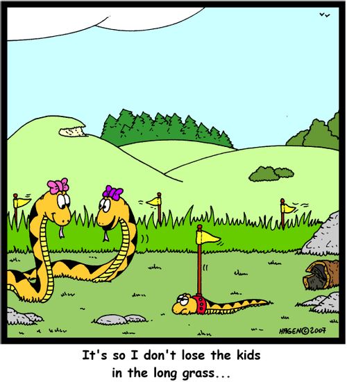 'It's so I don't lose the kids in the long grass...'
