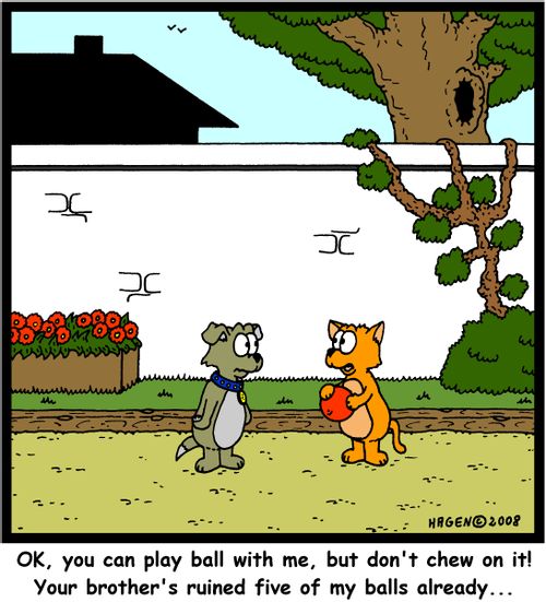 'OK, you can play ball with me, but don't chew on it! Your brother's ruined five of my balls already...'
