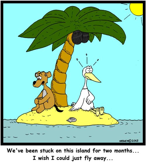 'We've been stuck on this island for two months... I wish I could just fly away...'(colour)