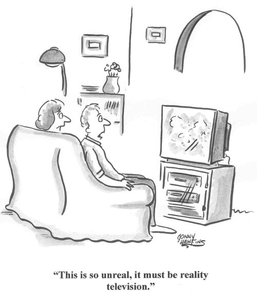 'This is so unreal, it must be reality television.'