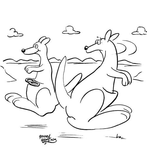 Kangaroo sees other with cup holders.